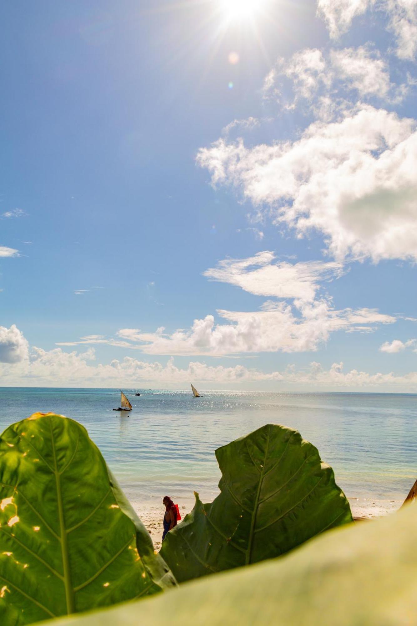 Pilipili Tropical Hotel Jambiani  Zewnętrze zdjęcie